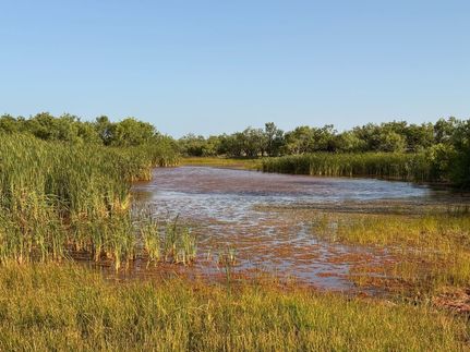 Land for sale in Taylor County, Texas
