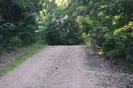 Timberland Property for sale in Marion County, Arkansas