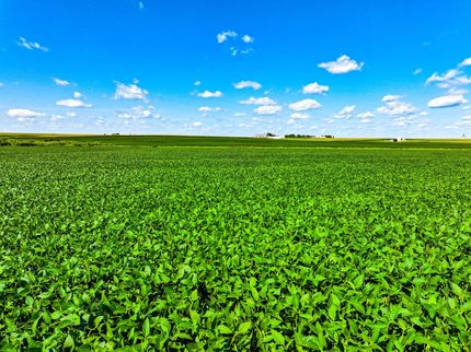 Undeveloped Land for sale in Fayette County, Iowa