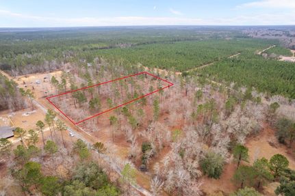 Homesite for sale in Wayne County, Georgia