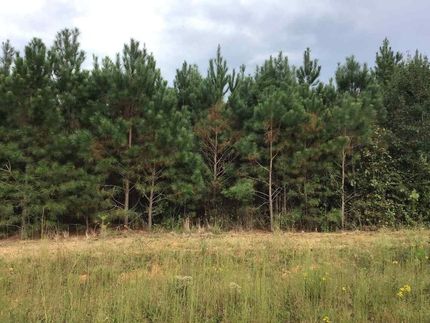 Timberland Property for sale in Fayette County, Alabama