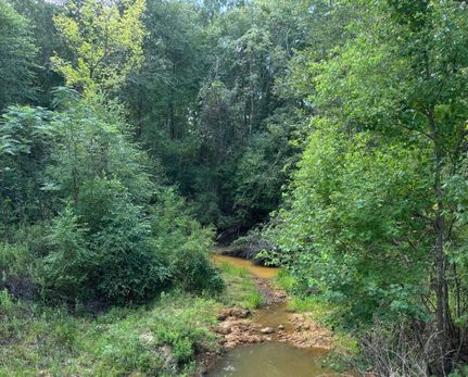 Land for sale in Anderson County, Texas