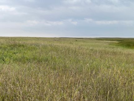 Land for sale in Cavalier County, North Dakota