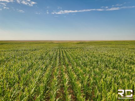 Recreational Property for sale in Logan County, Kansas