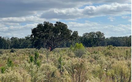 Farm and Ranch for sale in Suwannee County, Florida