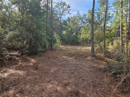 Undeveloped Land for sale in Hernando County, Florida