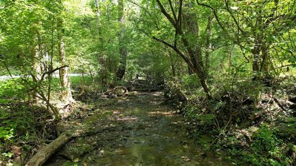 Undeveloped Land for sale in Woodford County, Kentucky
