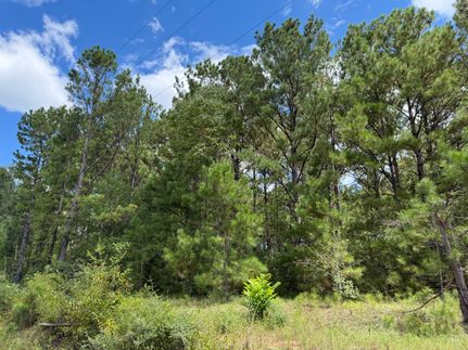 Undeveloped Land for sale in Covington County, Alabama