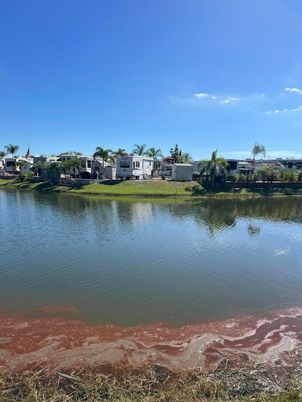 Lakefront Property for sale in Okeechobee County, Florida