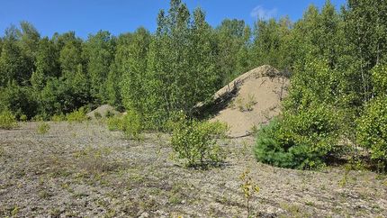 Land for sale in Washington County, Maine
