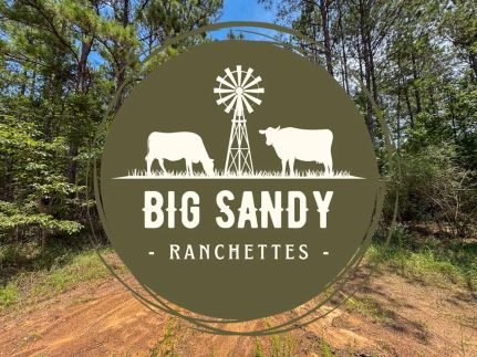 Land for sale in Polk County, Texas