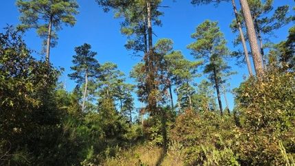 Land for sale in Hot Spring County, Arkansas
