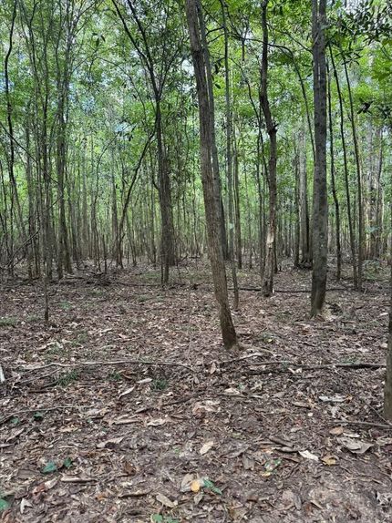 Undeveloped Land for sale in Crenshaw County, Alabama