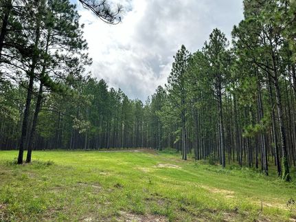 Land for sale in Lamar County, Mississippi
