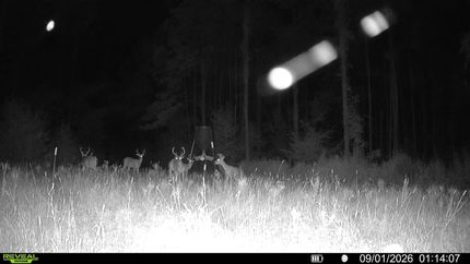 Land for sale in Franklin County, Mississippi