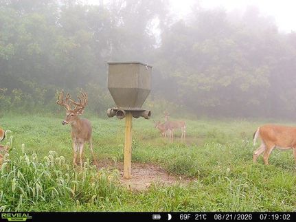 Farm and Ranch for sale in Belmont County, Ohio
