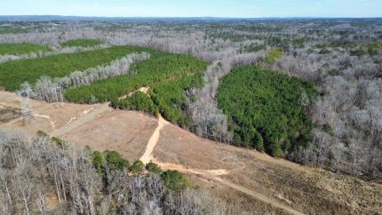 Undeveloped Land for sale in Harris County, Georgia