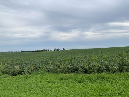 Farm and Ranch for sale in Antelope County, Nebraska