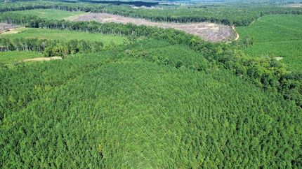 Land for sale in Tallapoosa County, Alabama