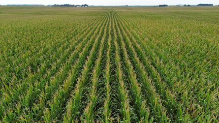 Farm and Ranch for sale in Menard County, Illinois