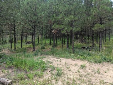 Timberland Property for sale in Boise County, Idaho