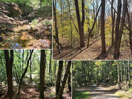 Land for sale in Gallia County, Ohio