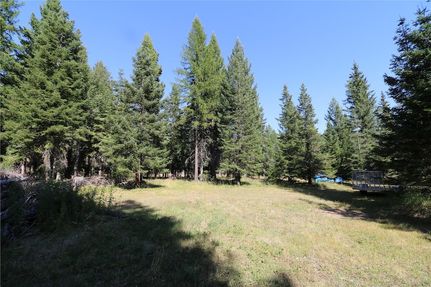 Undeveloped Land for sale in Flathead County, Montana