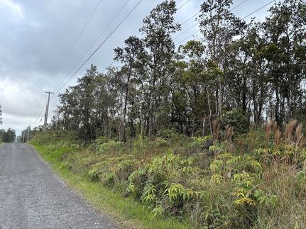 Farm and Ranch for sale in Hawaii County, Hawaii