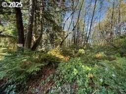 Land for sale in Tillamook County, Oregon