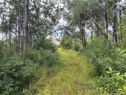 Undeveloped Land for sale in Pine County, Minnesota