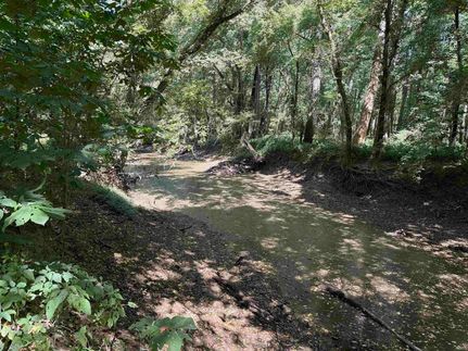 Undeveloped Land for sale in Wabash County, Illinois