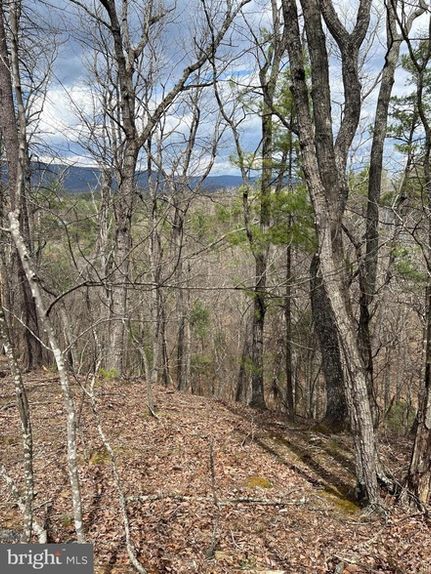 Undeveloped Land for sale in Shenandoah County, Virginia
