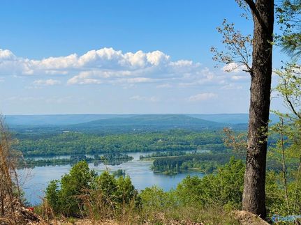 Undeveloped Land for sale in Jackson County, Alabama