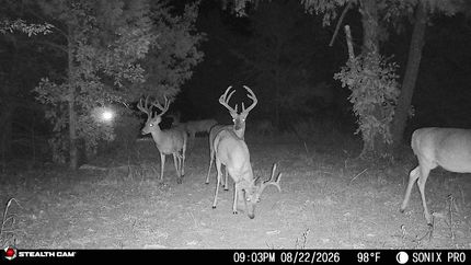 Land for sale in Pittsburg County, Oklahoma