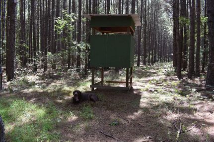 Land for sale in Calhoun County, Arkansas