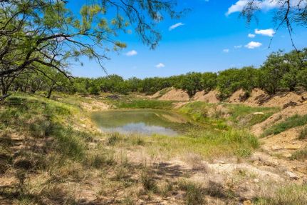 Farm and Ranch for sale in Callahan County, Texas