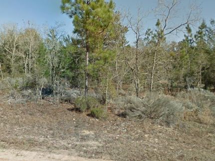 Land for sale in Putnam County, Florida
