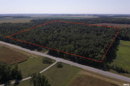 Undeveloped Land for sale in Wayne County, Illinois