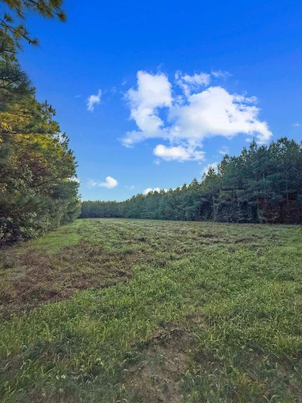 Land for sale in Montgomery County, Mississippi