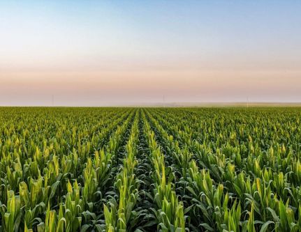 Undeveloped Land for sale in Greene County, Iowa