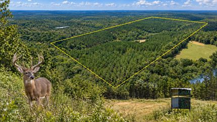 Land for sale in Cleburne County, Arkansas