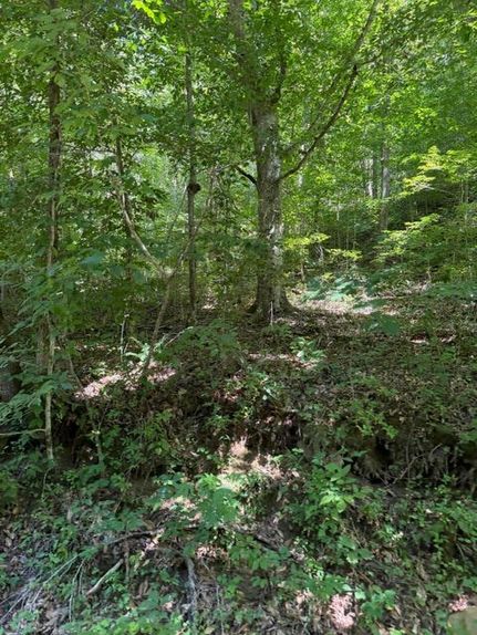 Land for sale in Knox County, Kentucky