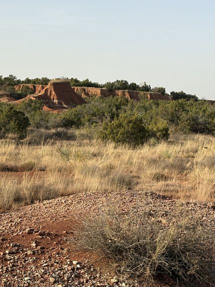 Farm and Ranch for sale in Knox County, Texas