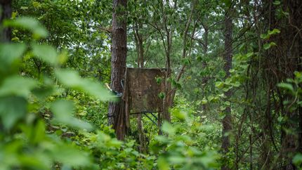 Land for sale in Van Zandt County, Texas