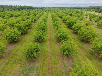 Land for sale in Mitchell County, Georgia