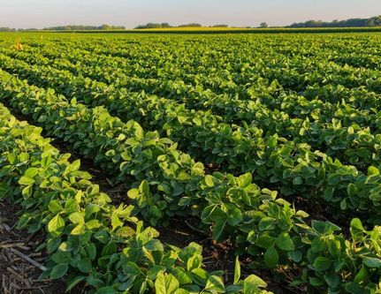 Undeveloped Land for sale in Greene County, Iowa