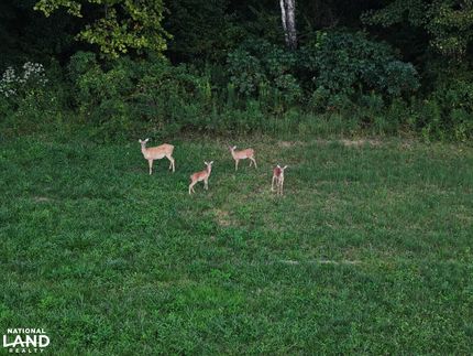 Riverfront Property for sale in Laurel County, Kentucky