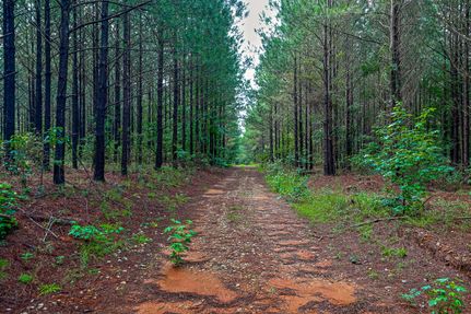 Timberland Property for sale in Putnam County, Georgia