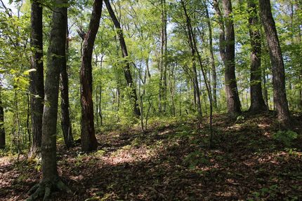 Recreational Property for sale in Frederick County, Virginia