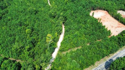 Timberland Property for sale in Lee County, Alabama